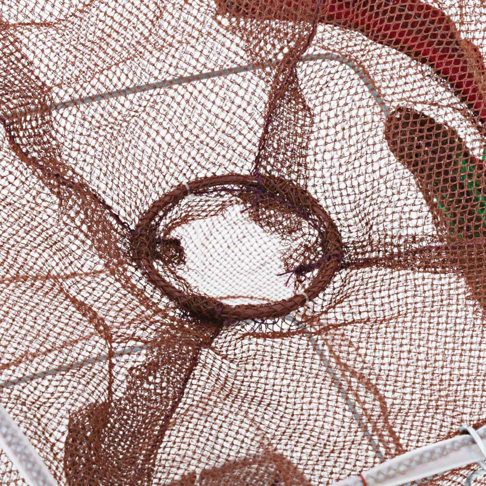 Sea Harvester Collapsible Bait Cage 2 Sea Harvester Collapsible Bait Cage - Image 2