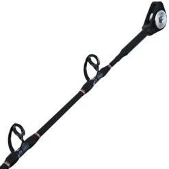 Shimano TLD 50 LRS Backbone Roller Tip 2-Speed Combo 5ft 7in 15kg 1pc -Recreational Fishing bb571g24rt 2 2