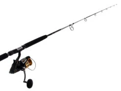 Shimano 8000D Baitrunner And Carbolite SW Straylining Combo 7ft 6-10kg 1pc