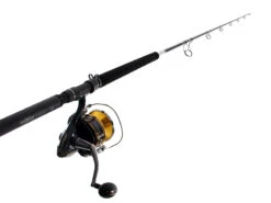 Shimano Stella 30000 SWB Abyss SW Spinning Pitch Bait Combo 6ft 4in 40-100lb 1pc