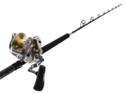 Shimano Talica 50 II And Abyss SW Overhead 2-Speed Pitch Bait Combo 6'4'' 40-100lb 1pc