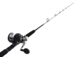 Shimano Torium 20A HG And Carbolite SW Overhead Strayline Combo 7ft 10-15kg 1pc
