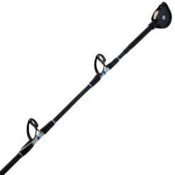 Shimano Tiagra 30WLRSA Status Blue Water Roller Tip Game Combo 5ft 8in 15kg 1pc 17 Shimano Tiagra 30WLRSA Status Blue Water Roller Tip Game Combo 5ft 8in 15kg 1pc -Recreational Fishing sbw58g15rt d