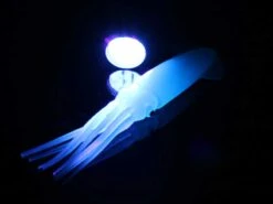 ManTackle 9 LED UV Torch Blue