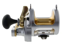 Shimano Talica 20 Status Blue Water 2-Speed Roller Tip Game Combo 5ft 6in 24kg 1pc -Recreational Fishing trtac20 1 1 1 4