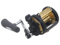 Shimano TLD 50 LRS Status Blue Water DDM Bent Butt Game Combo 5ft 10in 15-24kg 2pc 9 Shimano TLD 50 LRS Status Blue Water DDM Bent Butt Game Combo 5ft 10in 15-24kg 2pc -Recreational Fishing trtld5l 5 1 1 6